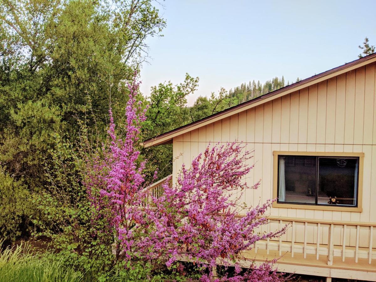 Yosemite Haven @ Pine Mountain Lake. Dog Friendly! Groveland Extérieur photo