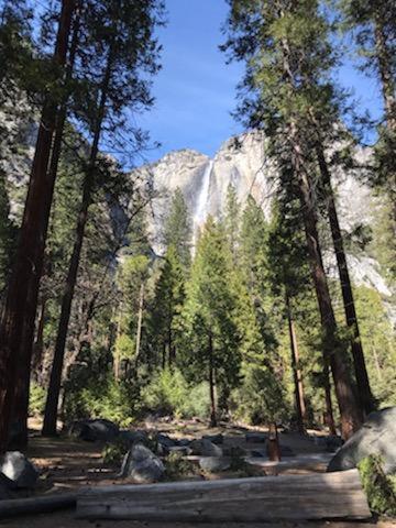 Yosemite Haven @ Pine Mountain Lake. Dog Friendly! Groveland Extérieur photo